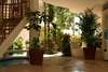 Playa Palms Beach Hotel 